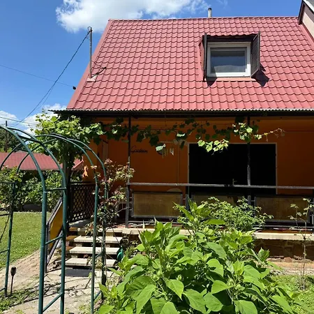 Gerbera Apartament *