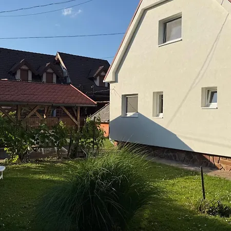 Gerbera Apartamento